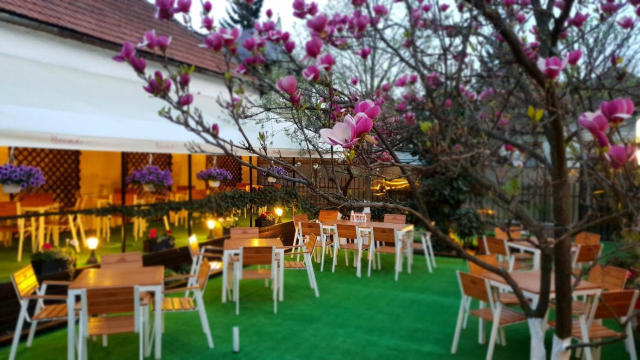 Hotel Casa Andreea à Braşov Extérieur photo